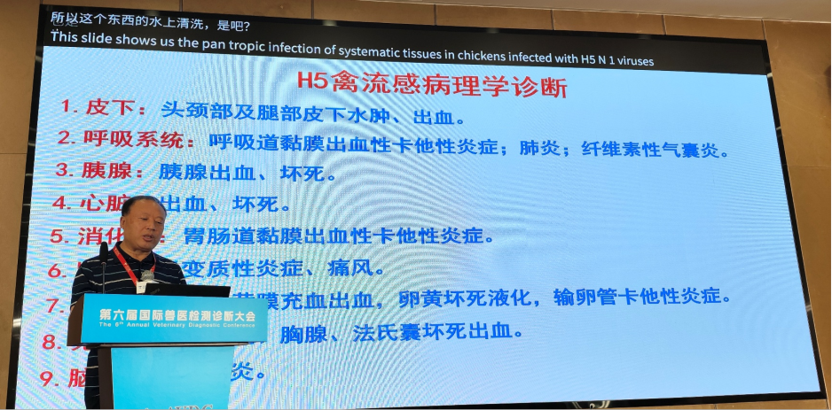 qw68.jpg