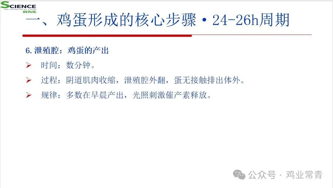 qw7.jpg