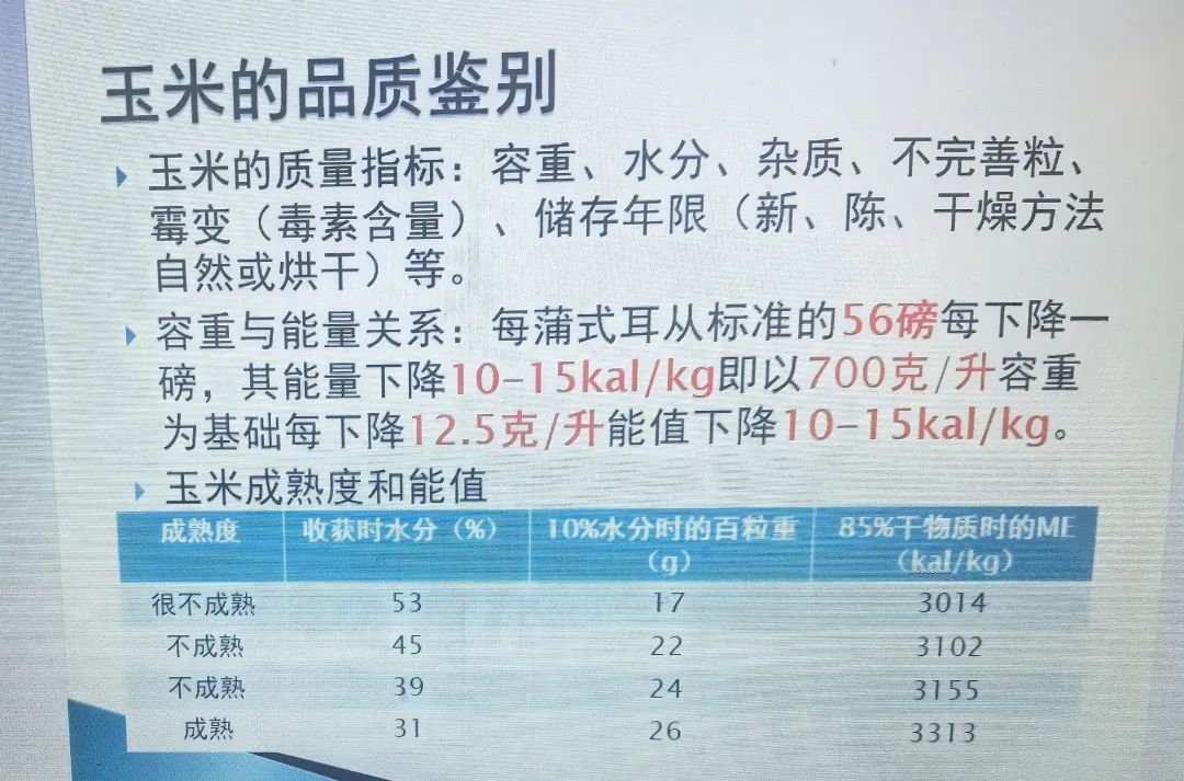 qw1.jpg