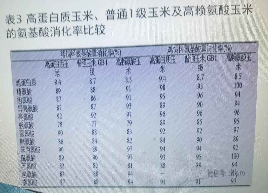 qw4.jpg