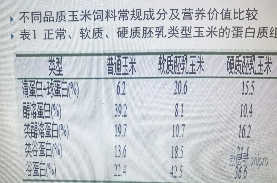 qw2.jpg