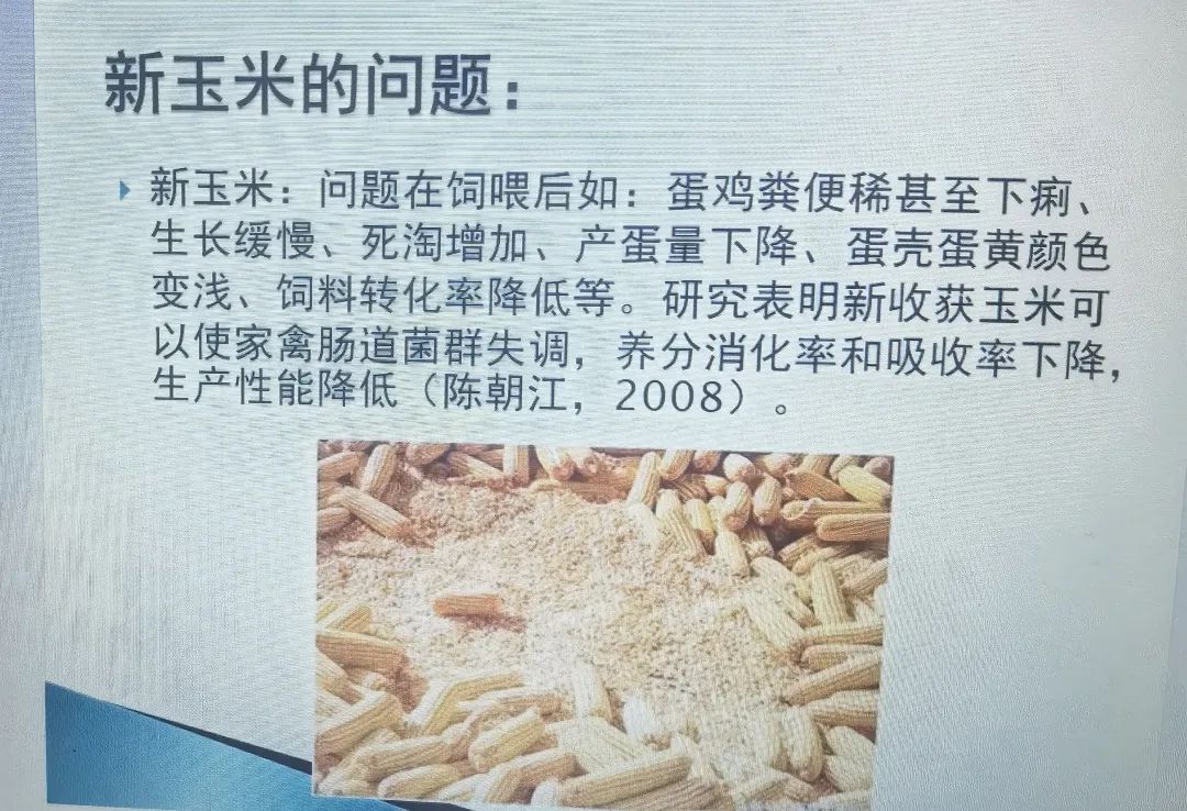 qw5.jpg