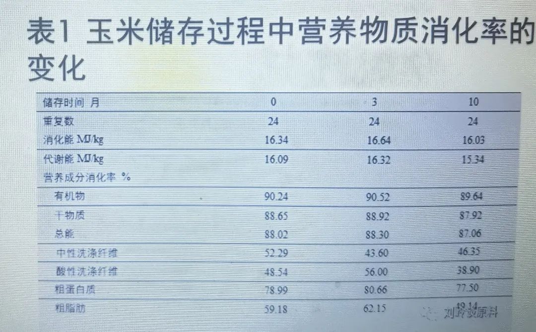 qw7.jpg