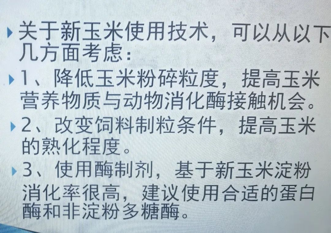 qw10.jpg