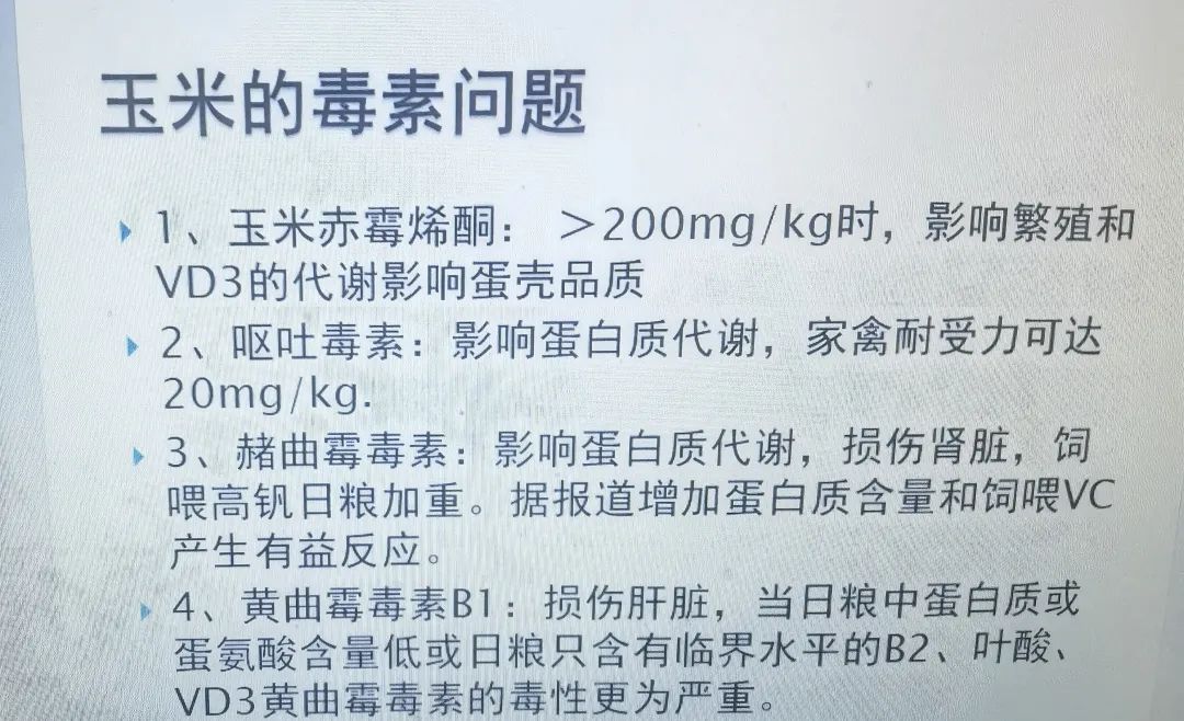 qw13.jpg