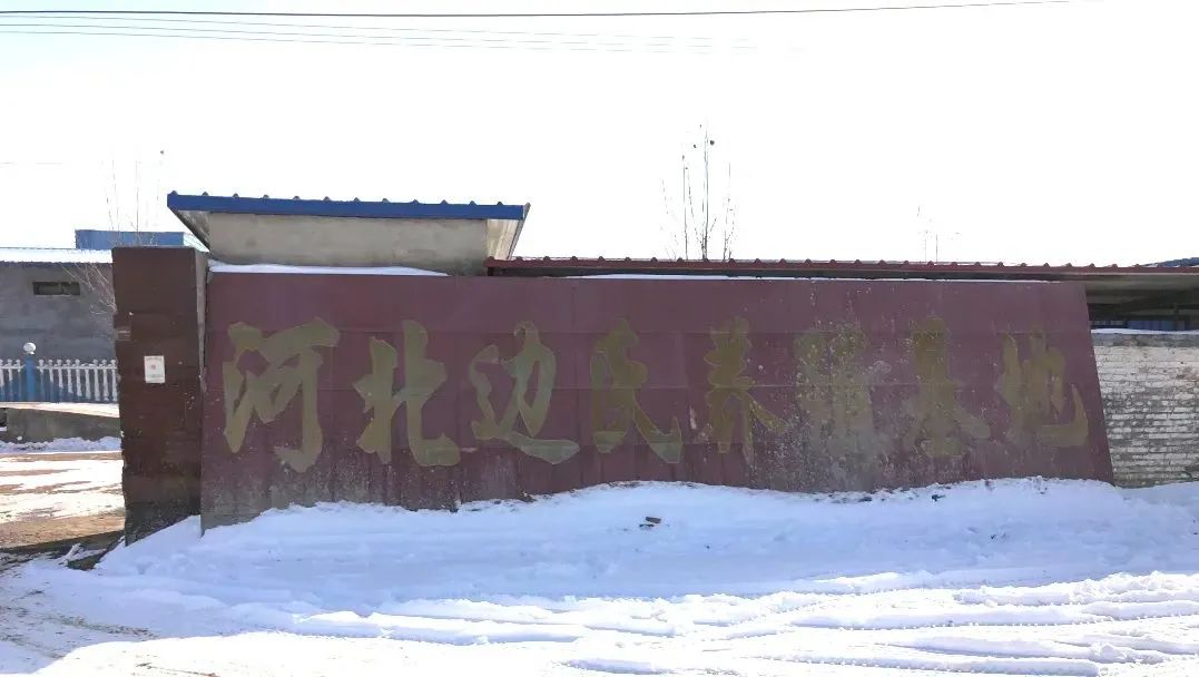 qw5.jpg