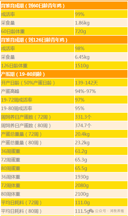 qw5.jpg