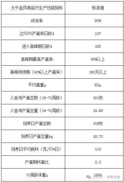 qw6.jpg