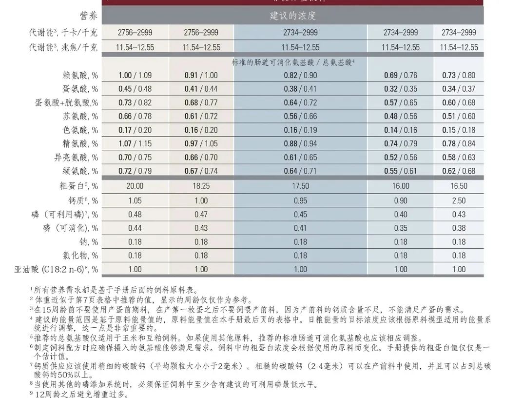 qw5.jpg