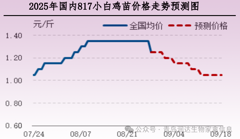 qw5.jpg