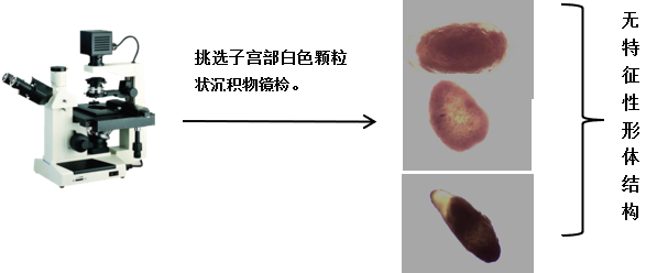 qw8.jpg