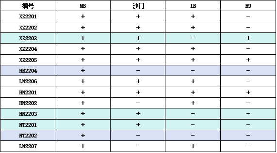 qw10.jpg