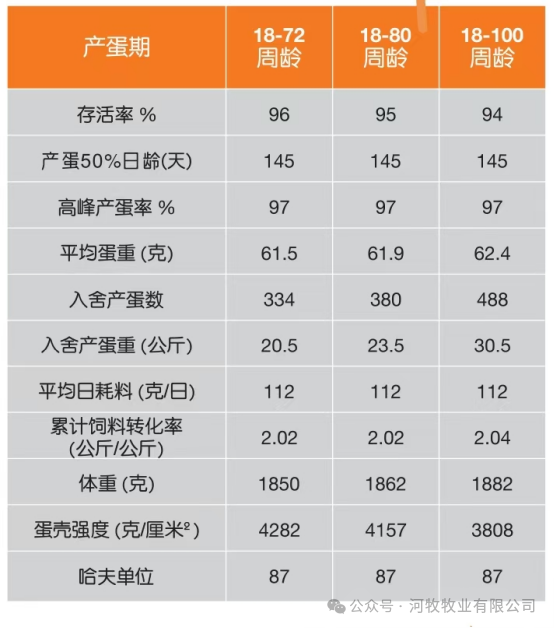 qw6.jpg