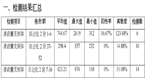 qw5.jpg