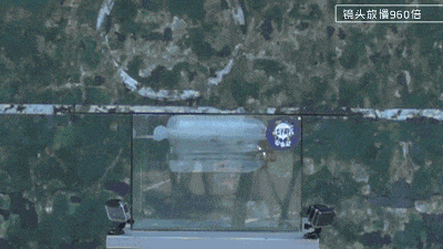 20.gif