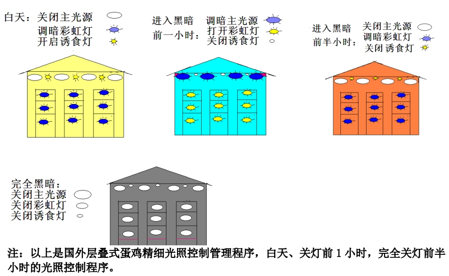 qw6.jpg