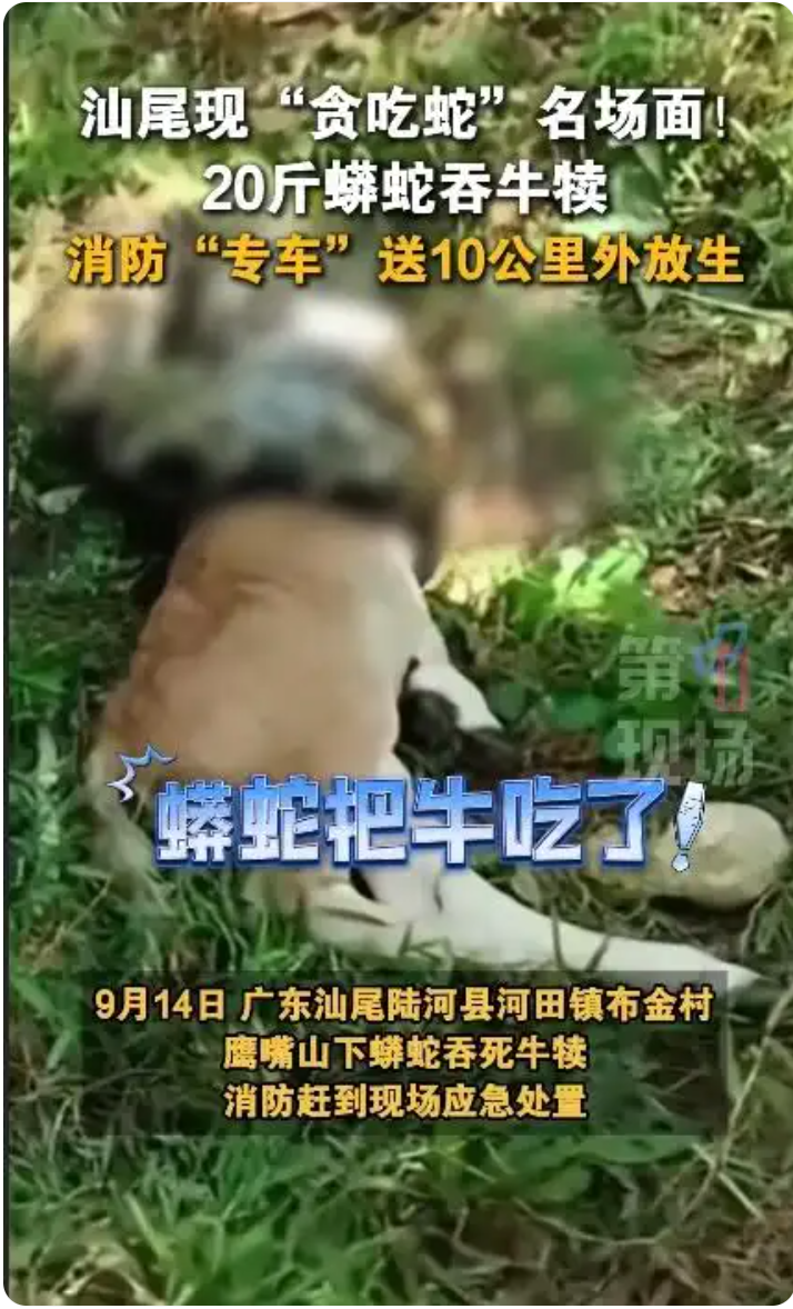 12.png
