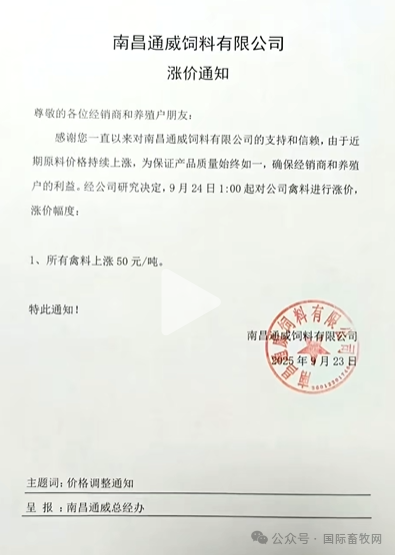 qw7.jpg