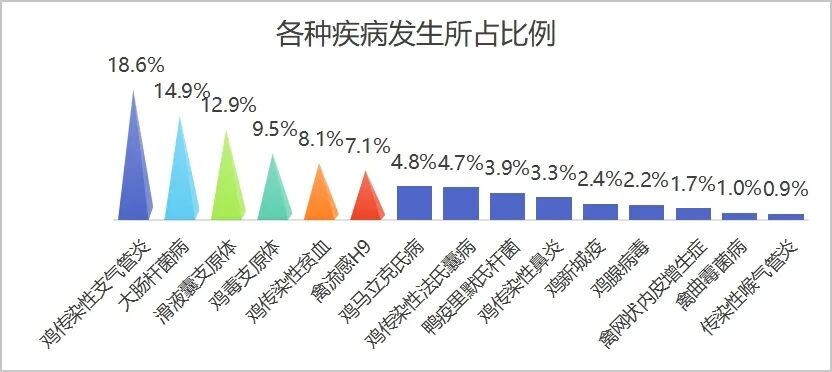 qw5.jpg
