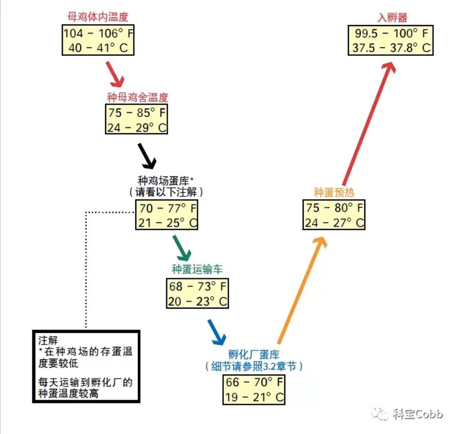 qw8.jpg