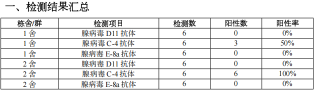 qw9.jpg
