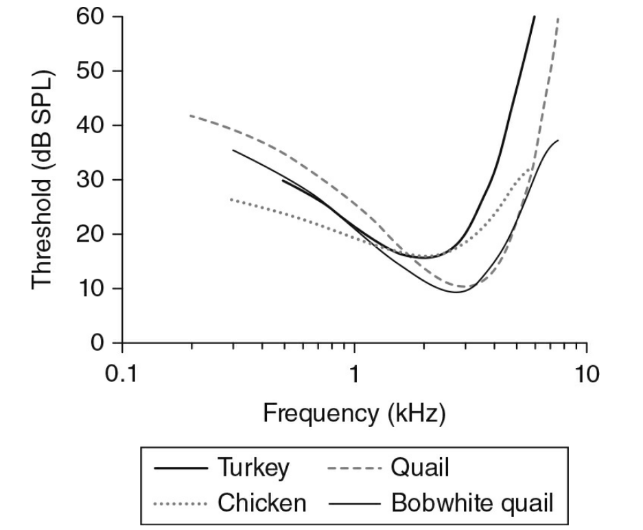qw4.jpg