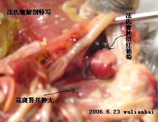 ͼƬ1.JPG