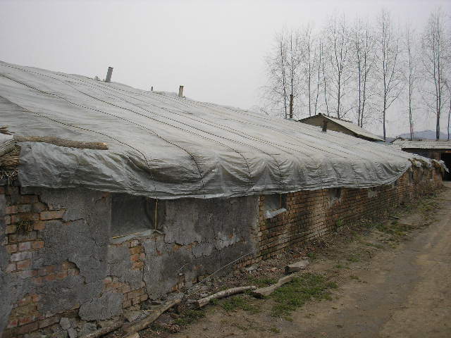 P8010001.jpg