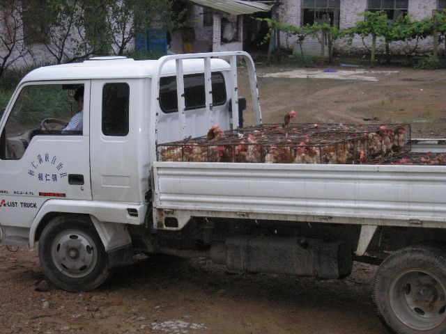 Pc070085.jpg