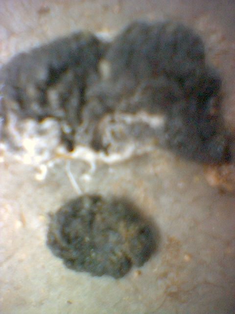 image_00002.jpg