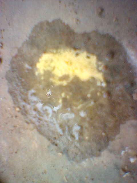 image_00003.jpg