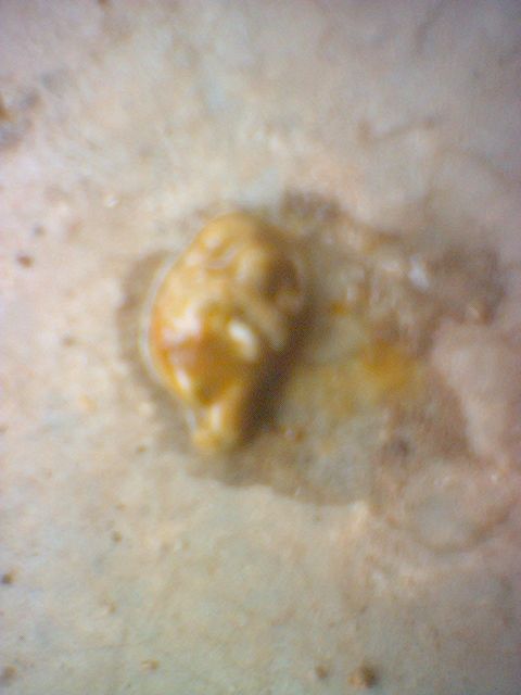 image_00004.jpg