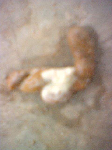 image_00005.jpg