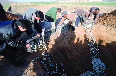 yadan4.jpg