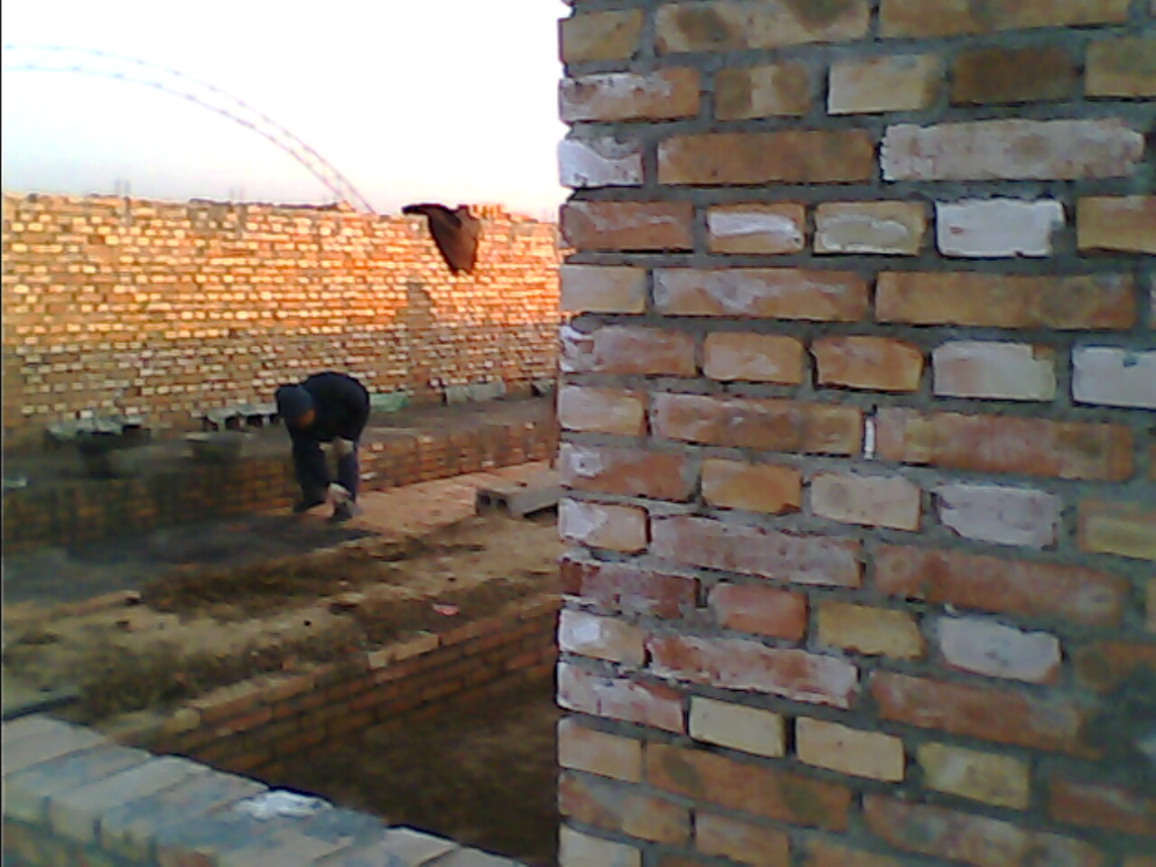 IMG1459A.jpg