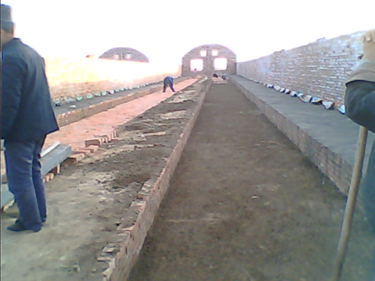 IMG1451A.jpg
