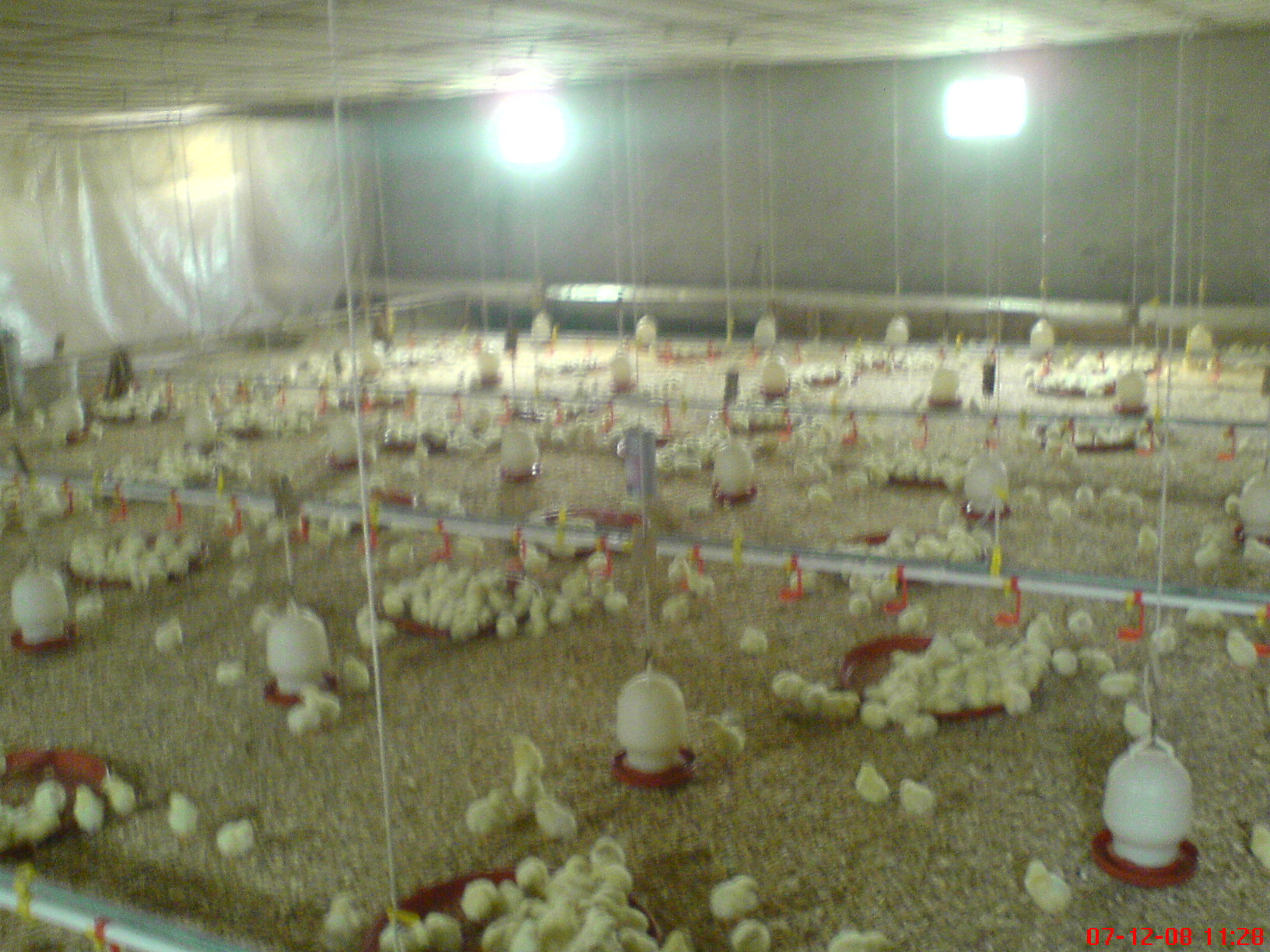 DSC00610.JPG