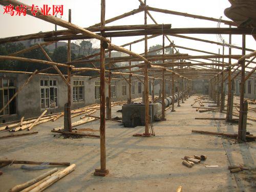 20080121_5c4262fcaa62debfadfam2EHlaQlwNWj.jpg