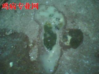PIC_2406.jpg