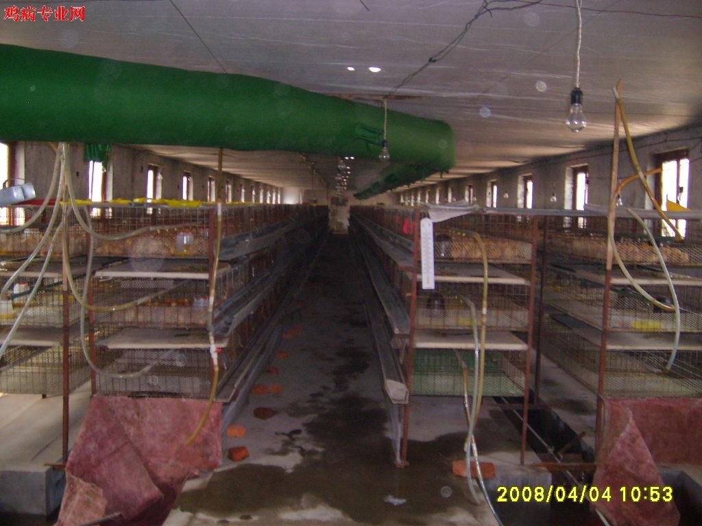 S6001057.JPG