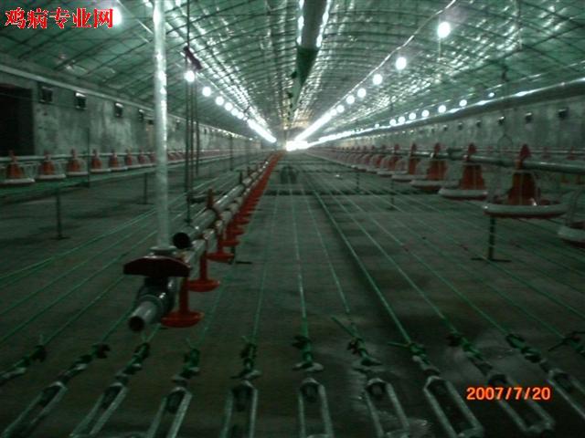 CIMG2479 (Small).JPG
