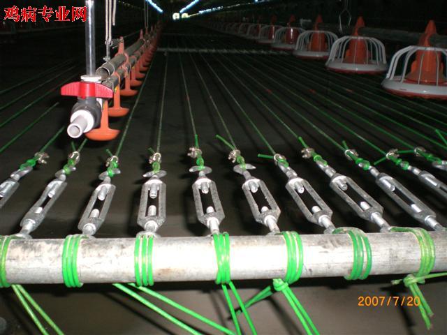 CIMG2477 (Small).JPG
