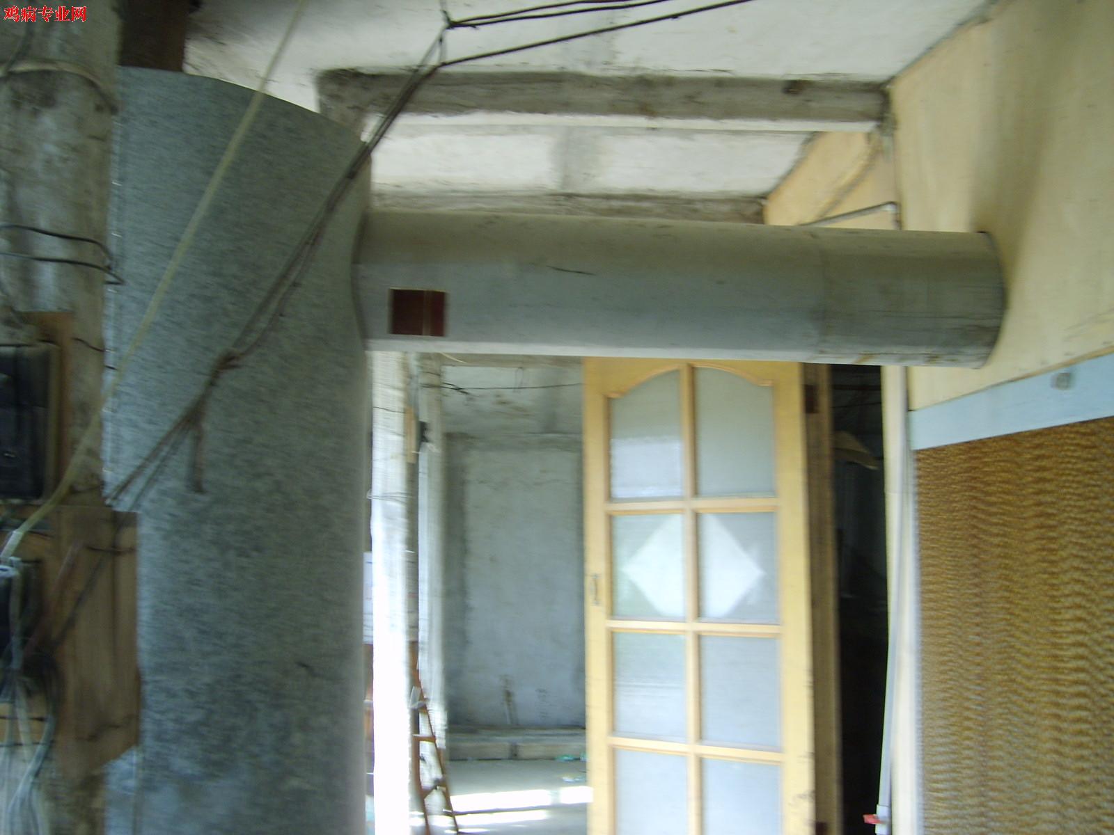 S6006871.JPG