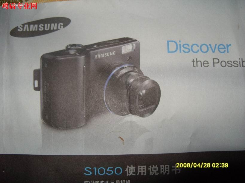 Ƭ 046.jpg