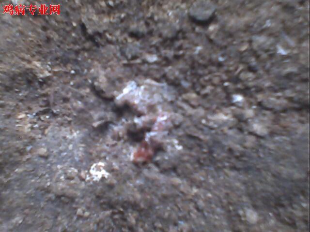 IMG0957A.jpg