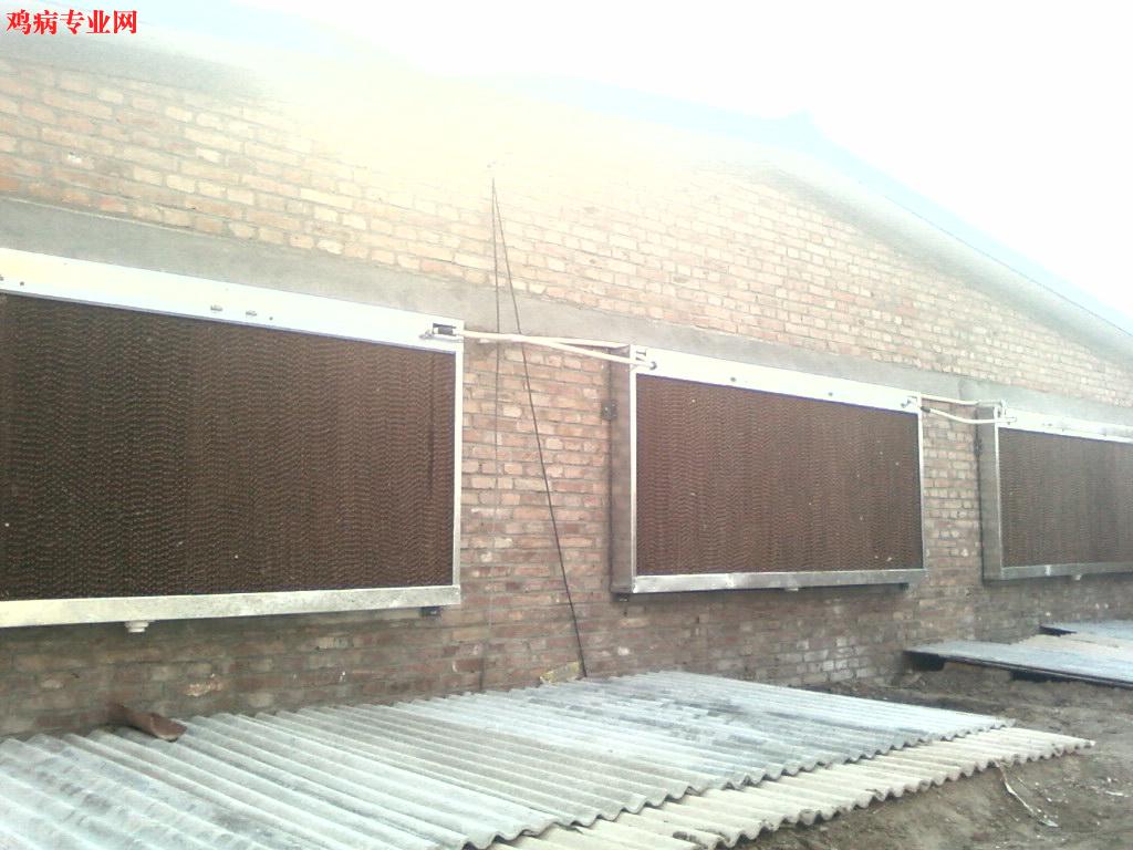 SP_A0338.jpg