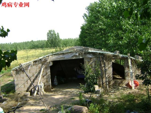 DSC00190.JPG
