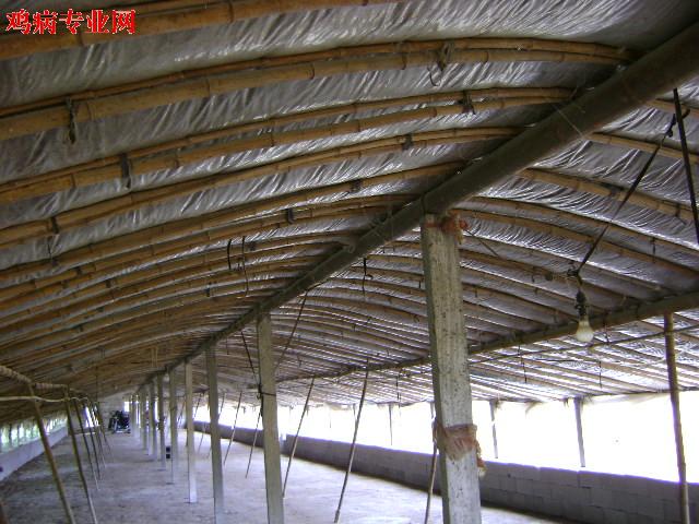 DSC00171.JPG