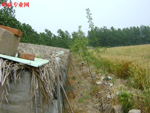 DSC00173.JPG