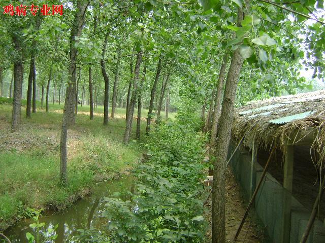 DSC00172.JPG